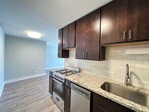 448 W Barry Ave in Chicago, IL - Building Photo - Building Photo