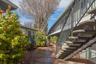 658 Sierra Vista in Mountain View, CA - Building Photo - Building Photo