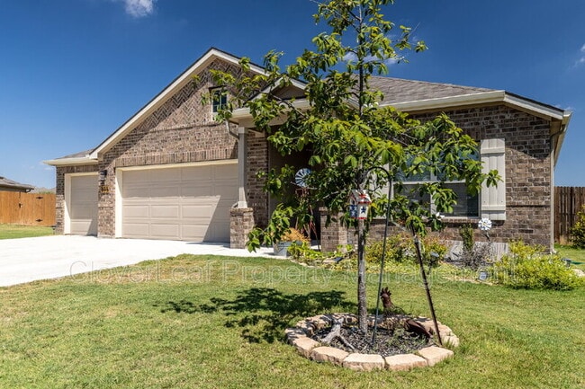 804 Shrike Ln in New Braunfels, TX - Foto de edificio - Building Photo