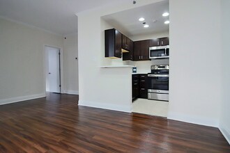 217 E Chestnut St in Chicago, IL - Building Photo - Building Photo