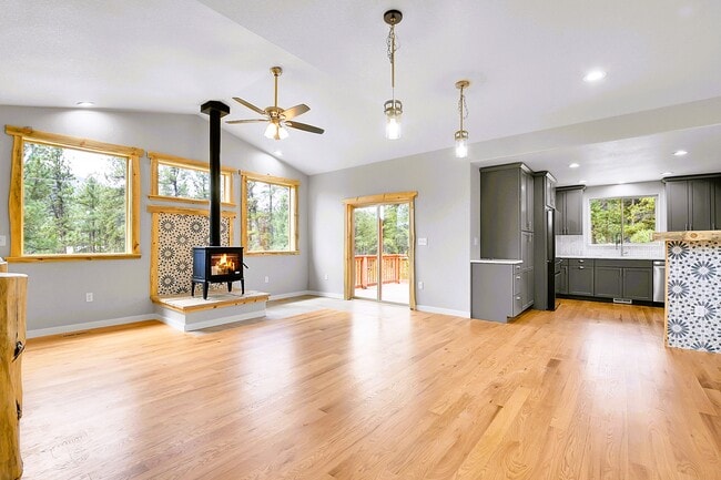 132 Pauls Ln in Bailey, CO - Building Photo - Building Photo