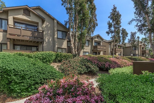 Spring Lakes Apartment Homes in Lake Forest, CA - Building Photo - Building Photo