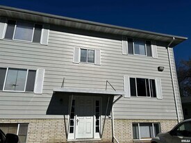 928 S Stewart St in Creve Coeur, IL - Building Photo