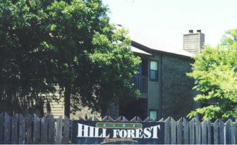 Hill Forest Apartments in Austin, TX - Building Photo