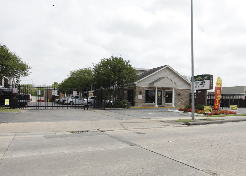 Palm Bluff Apartments in Pasadena, TX - Foto de edificio