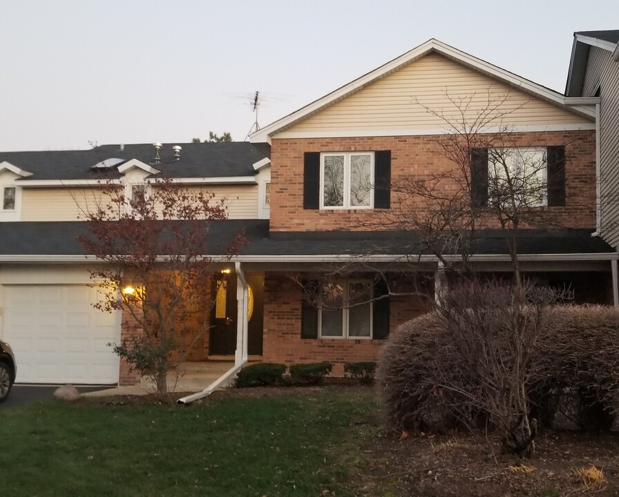 978 Benedetti Dr in Naperville, IL - Building Photo