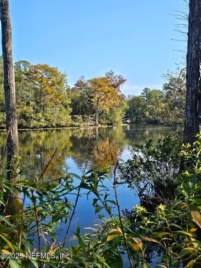 2061 Harvard St in Middleburg, FL - Building Photo - Building Photo