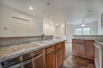 60 Spyglass Ln in Silverthorne, CO - Building Photo - Building Photo