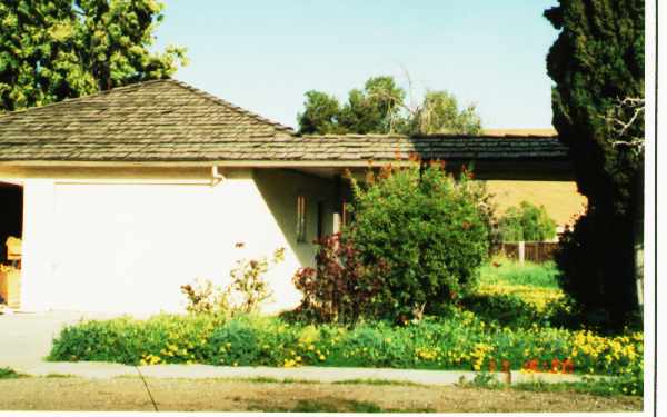 10040 Bianchi Way in Cupertino, CA - Foto de edificio - Building Photo