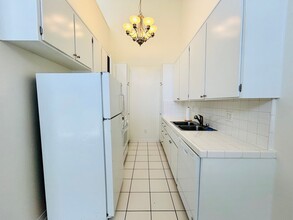 3516 Jasmine Ave in Los Angeles, CA - Building Photo - Building Photo