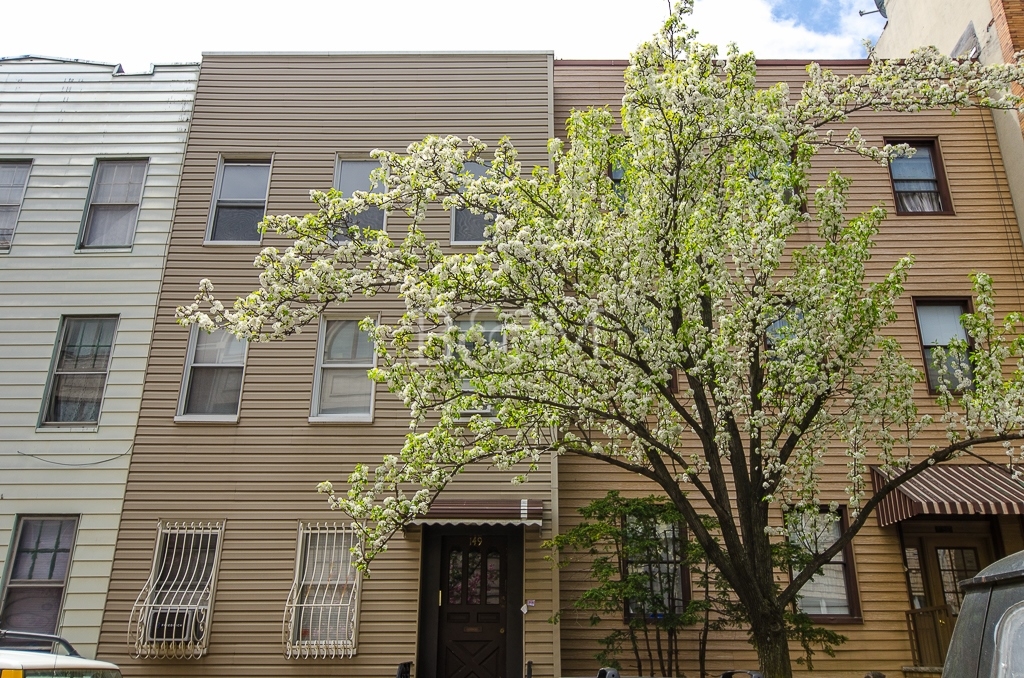 149 Eckford St in Brooklyn, NY - Building Photo