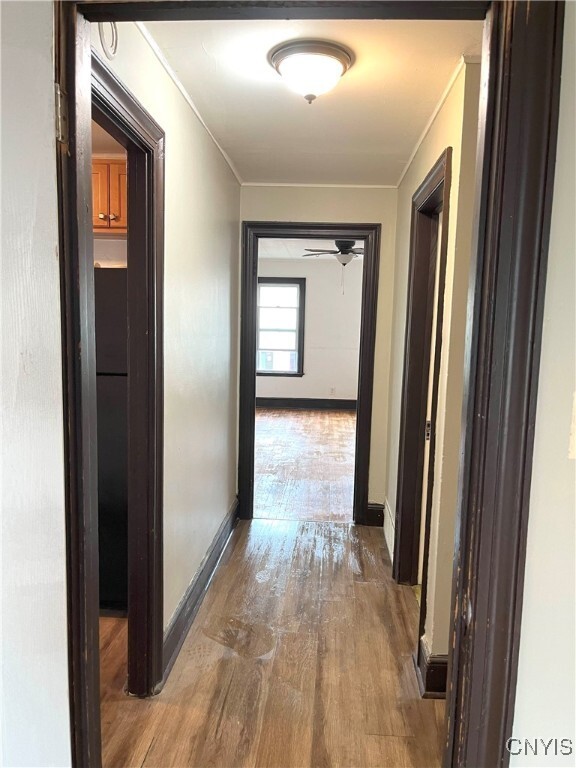 601-603 Court St in Syracuse, NY - Building Photo - Building Photo