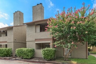 Austin Woods Apartments in San Antonio, TX - Building Photo - Building Photo