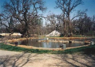 13331 Rices Crossing Rd in Oregon House, CA - Building Photo - Building Photo