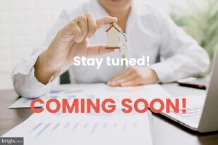 13918 Big Yankee Ln in Centreville, VA - Building Photo