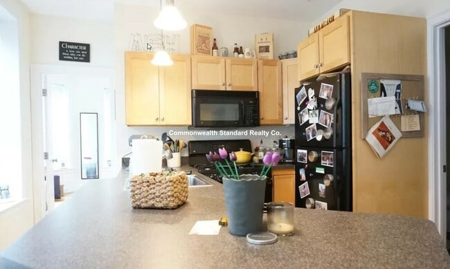 7 Sutherland Rd, Unit 201 in Boston, MA - Building Photo - Building Photo