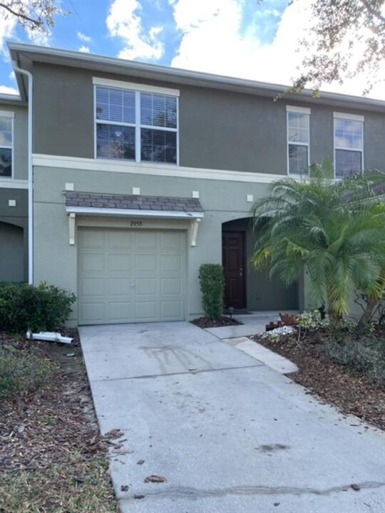 2950 Willowleaf Ln in Wesley Chapel, FL - Foto de edificio