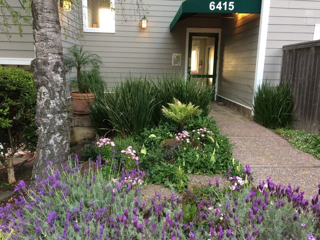 property at 6415 Snake Rd
