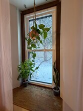 261 Averill Ave, Unit Rear in Rochester, NY - Foto de edificio - Building Photo