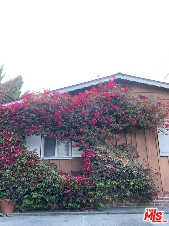 11317 Iowa Ave in Los Angeles, CA - Building Photo