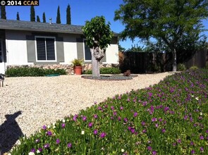 2139 Chestnut Dr in Pittsburg, CA - Building Photo - Building Photo