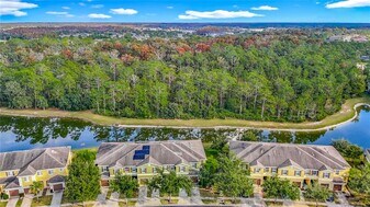 20451 Berrywood Ln in Tampa, FL - Building Photo