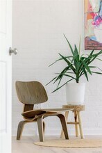 155 S River St, Unit 3D in Troy, NY - Building Photo - Building Photo