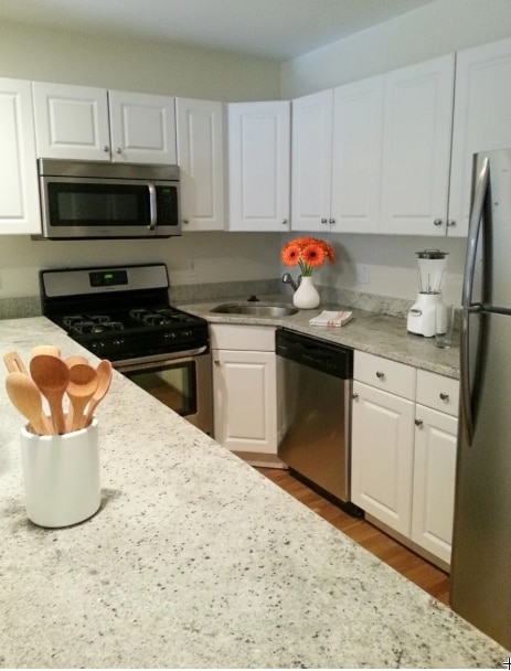 property at 62 Egmont St