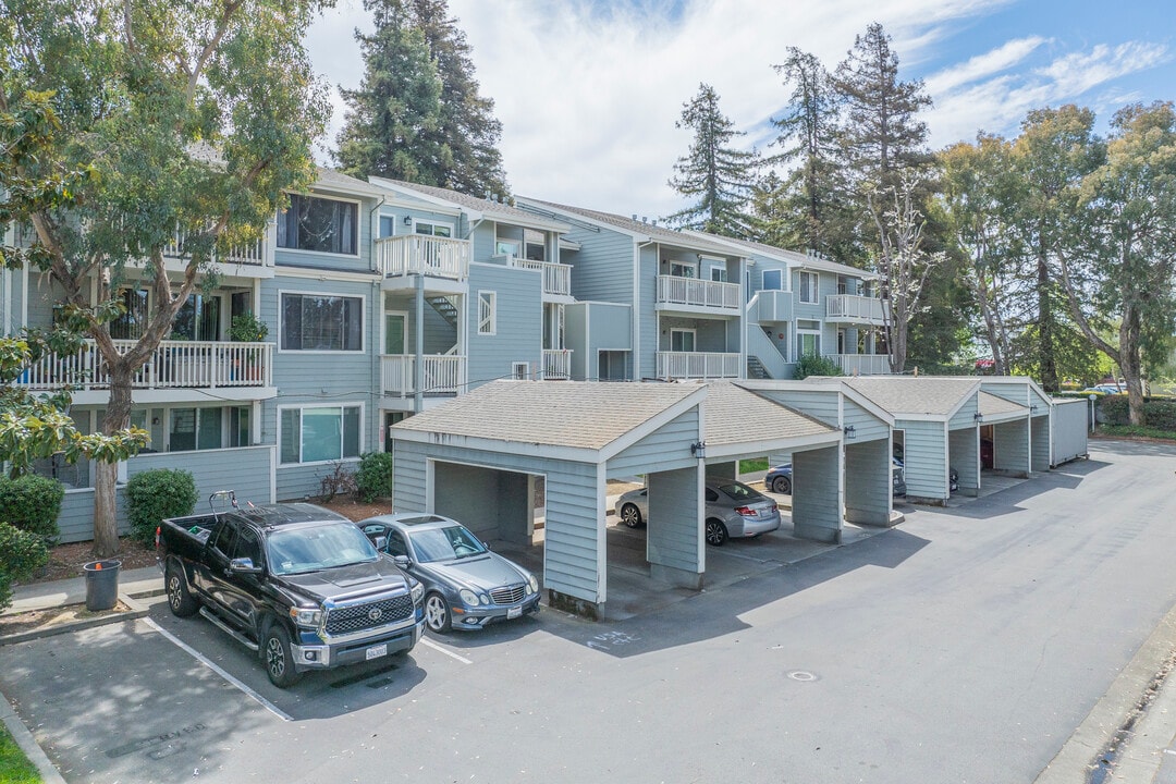 Meadowbrook in Fremont, CA - Building Photo