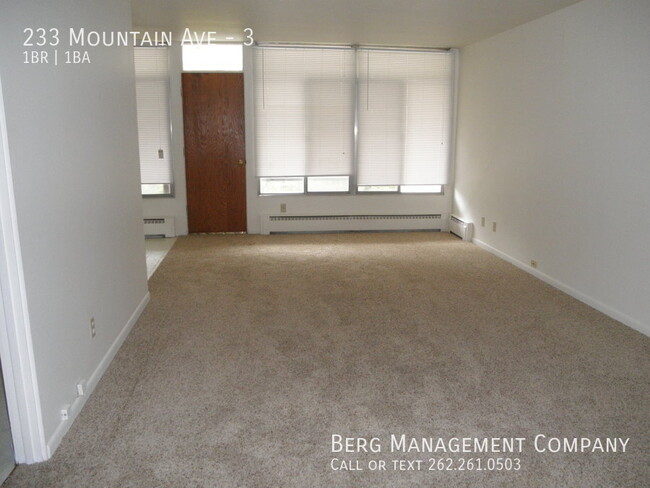 property at 233 Mountain Ave