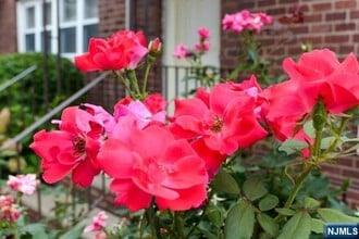 395 S Park St in Hackensack, NJ - Building Photo - Building Photo