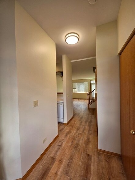 10 Waverly Ct in Algonquin, IL - Building Photo - Building Photo