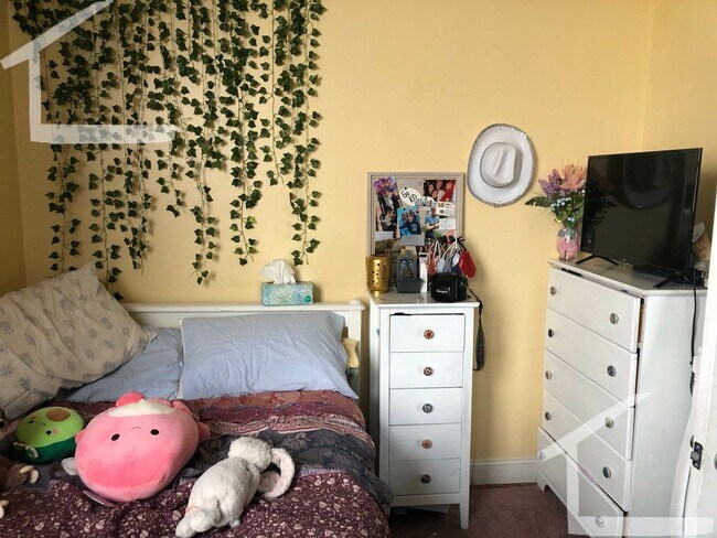 50 Egmont St in Brookline, MA - Foto de edificio - Building Photo