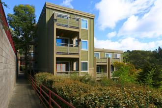 Shelter Hill in Mill Valley, CA - Foto de edificio - Building Photo