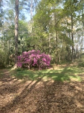 8035 NW 120th St in Reddick, FL - Building Photo - Building Photo