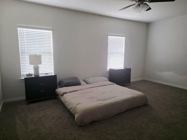 10101 Sunnyview Ln in Aubrey, TX - Building Photo - Building Photo