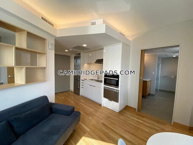 115 Mt Auburn St in Cambridge, MA - Building Photo - Building Photo
