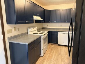 906 Hersinger Pl in Loveland, CO - Building Photo - Building Photo