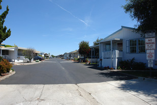 50 S Ventu Park Rd Apartments