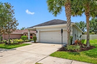 17414 New Cross Cir in Lithia, FL - Building Photo - Building Photo
