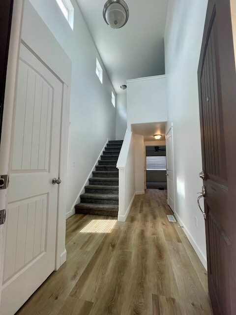 2668 Cottonwood Dr in Lehi, UT - Building Photo - Building Photo