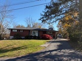 100 9th Ave in Radford, VA - Building Photo