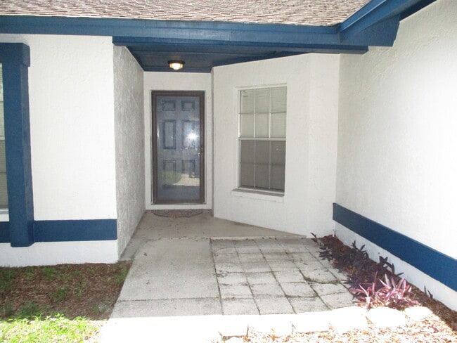 3006 Annadale Cir in Brandon, FL - Building Photo - Building Photo