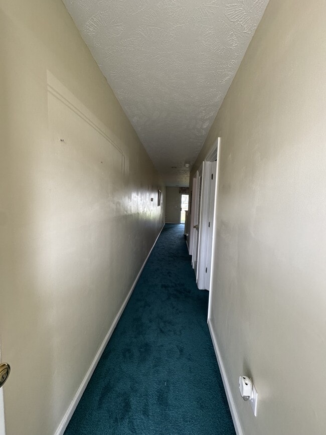 556 White River Dr in Myrtle Beach, SC - Building Photo - Building Photo