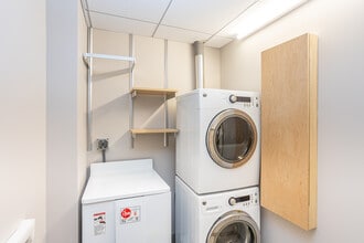 115 Mt Auburn (Fully Furnished) in Cambridge, MA - Building Photo - Interior Photo