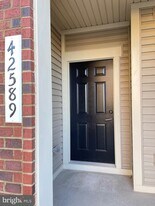 42589 Burbank Terrace in Sterling, VA - Building Photo