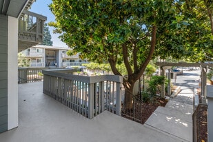 Regency Plaza Apartments in Martinez, CA - Building Photo