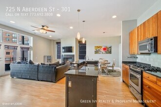 725 N Aberdeen St in Chicago, IL - Building Photo - Building Photo