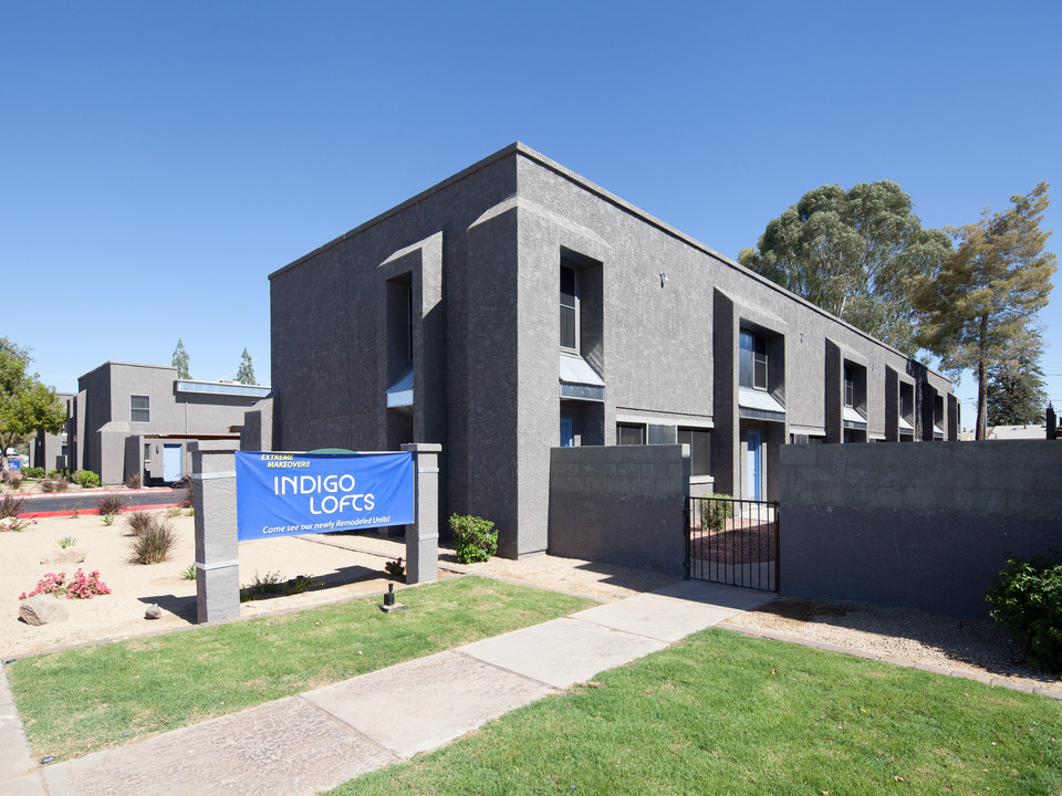 Indigo Lofts in Mesa, AZ - Building Photo