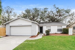 11205 Fiddlewood Dr in Riverview, FL - Building Photo